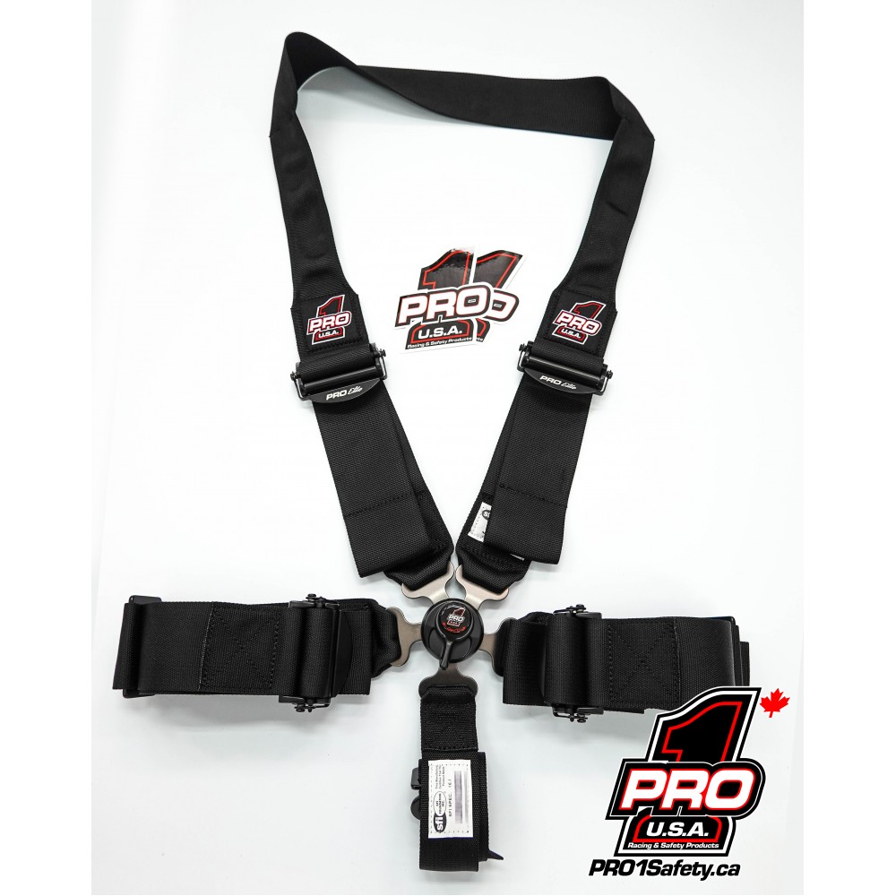 Pro Elite Cam Lock Safety Harness Seat Belts Dragster